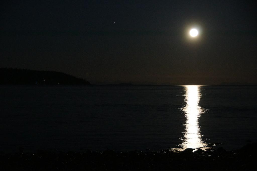 Driftwood By The Sea Inn Campbell River Esterno foto